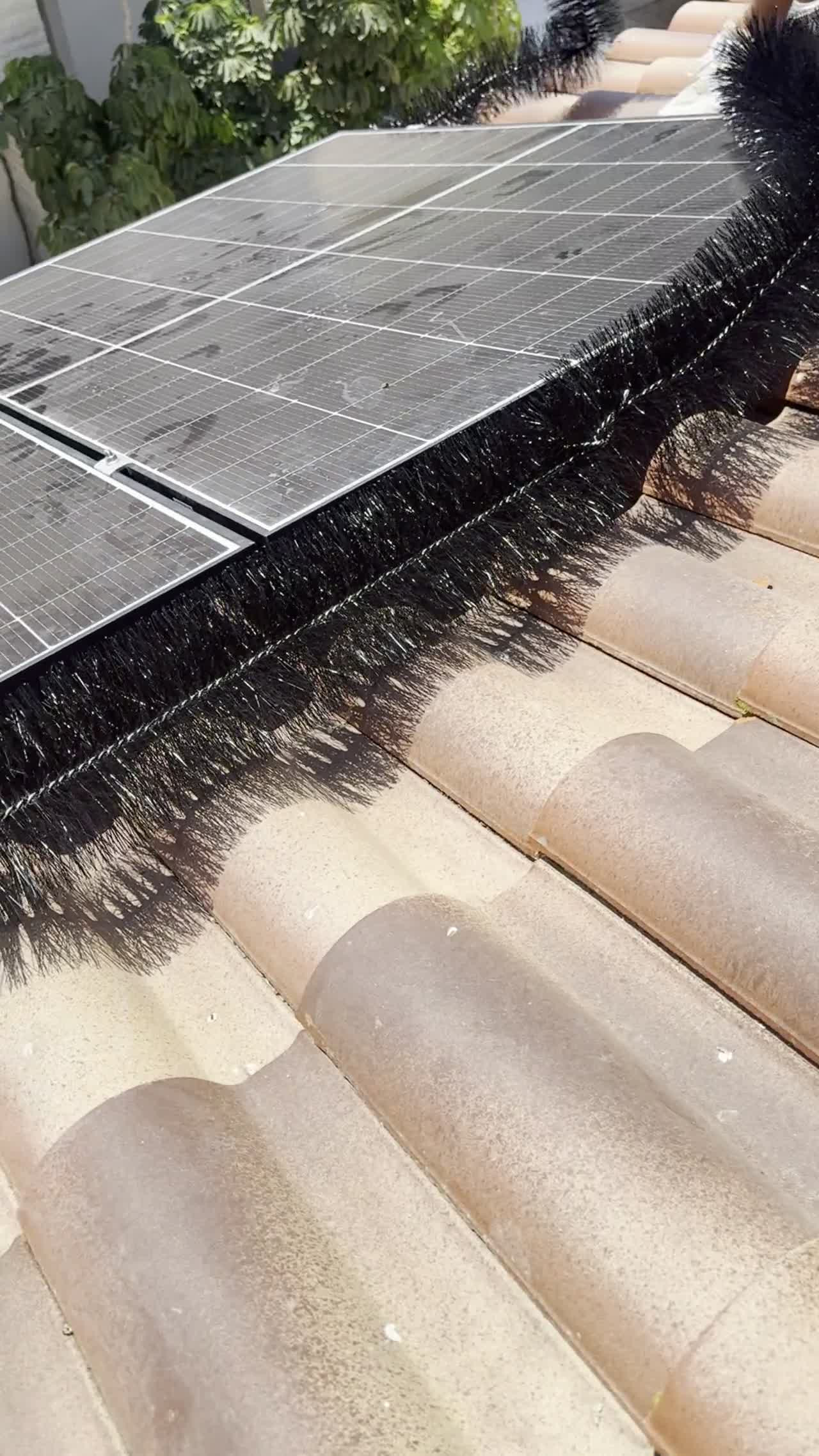 Bird protection brush system on solar panels Cyprus
